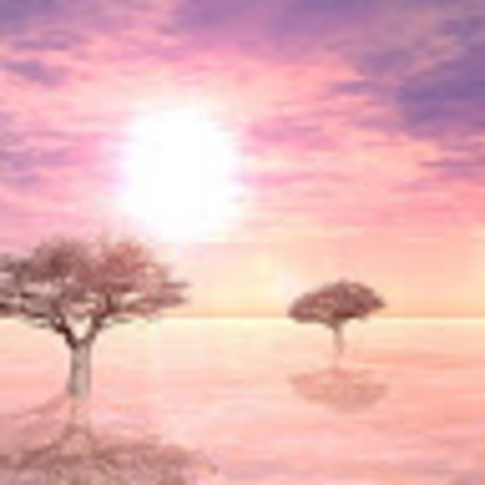 Meet your Posher, Mcda